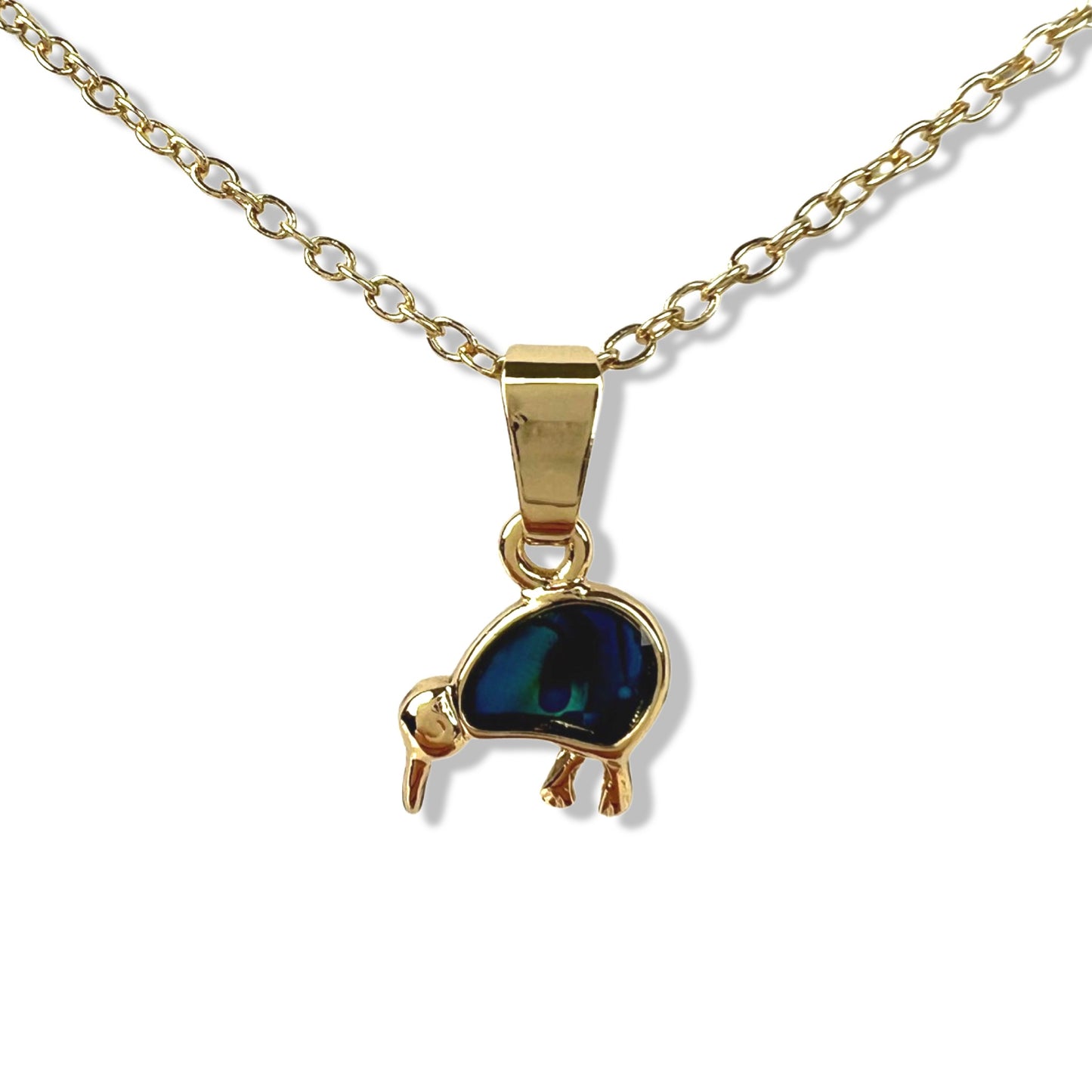 Gold Kiwi