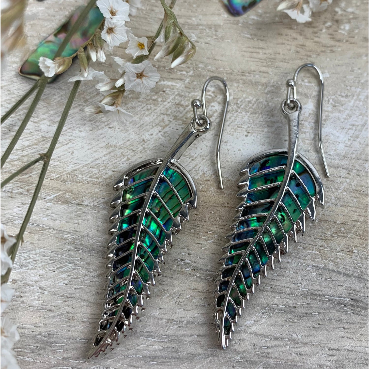 Paua Shell Earrings