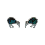 Silber/Blau Kiwi